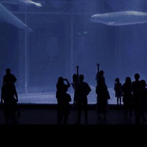 偷拍老头老太太性爱
